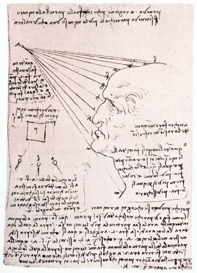 Estudio del efecto de la luz en una cabeza de perfil de Leonardo da Vinci